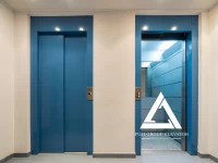 Dự Án Lắp Đặt Thang Máy Biệt Thự Tân Cổ Điển Tại Bình Dương