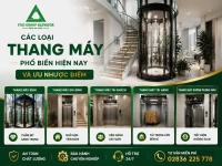 Các Loại Thang Máy Phổ Biến Hiện Nay Và Ưu Nhược Điểm Cần Biết