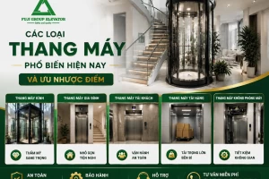 Các Loại Thang Máy Phổ Biến Hiện Nay Và Ưu Nhược Điểm Cần Biết
