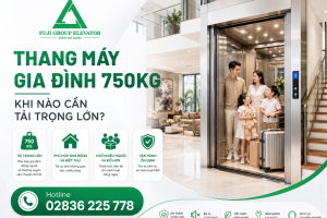 Thang Máy Gia Đình 750kg: Khi Nào Cần Tải Trọng Lớn?