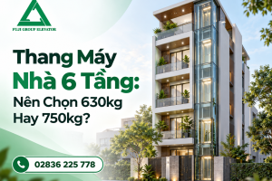  Thang Máy Nhà 6 Tầng: Nên Chọn 630kg Hay 750kg?