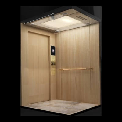 THANG MÁY TẢI KHÁCH DK-CB-02