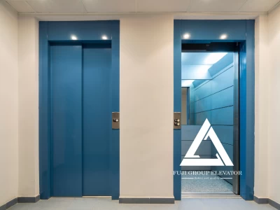 Dự Án Lắp Đặt Thang Máy Biệt Thự Tân Cổ Điển Tại Bình Dương